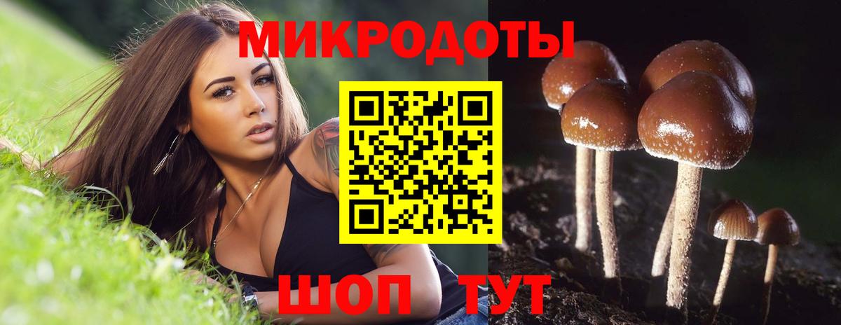 Мценск  Галлюциногенные грибы Cubensis  Галлюциногенные грибы Psilocybine cubensis  Вход с VPN 
