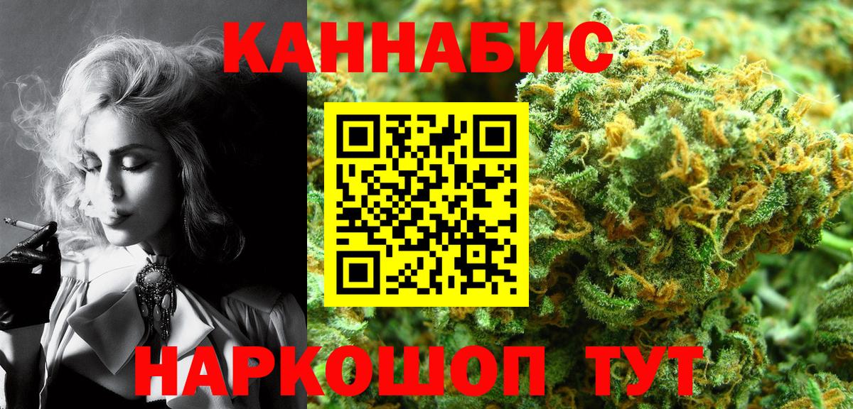 Конопля сатива Мценск